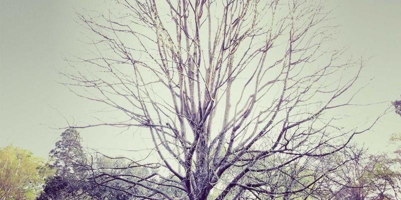 eBPF内核革命:重塑网络可观测性与安全策略的底层力量