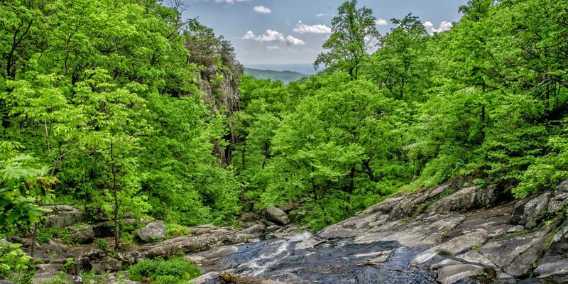 云原生网络架构演进:如何为微服务与容器化应用打造敏捷、弹性的连接血脉